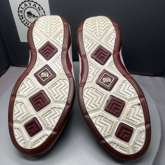 Nike Zoom LeBron Soldier 3 TB Maroon Basketball Shoes 367185-912 Men Sz 9.5 RARE main image 9